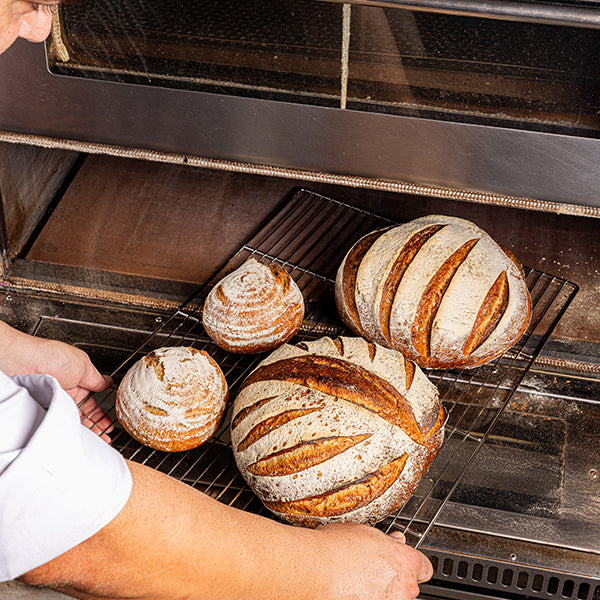 Sourdough Baking Workshop (3 days/PM)